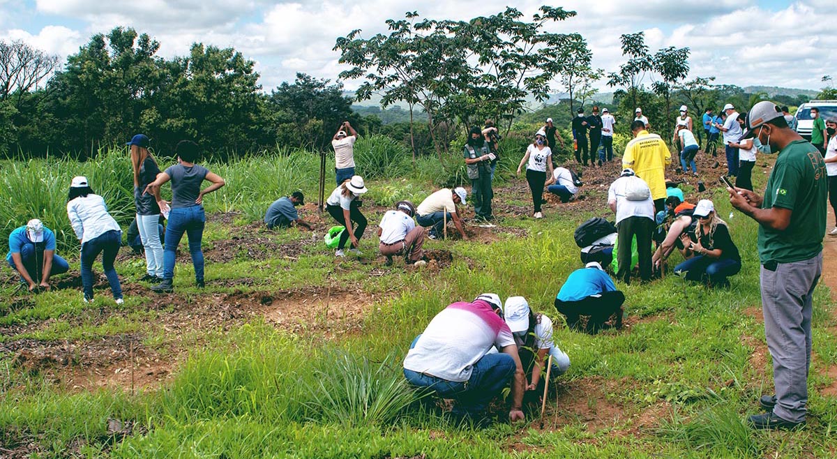 Muitos voluntários no plantio de 1.500 mudas no entorno da Gruta Rei do Mato. Fotos: Léo Boi/cbhvelhas.org.br