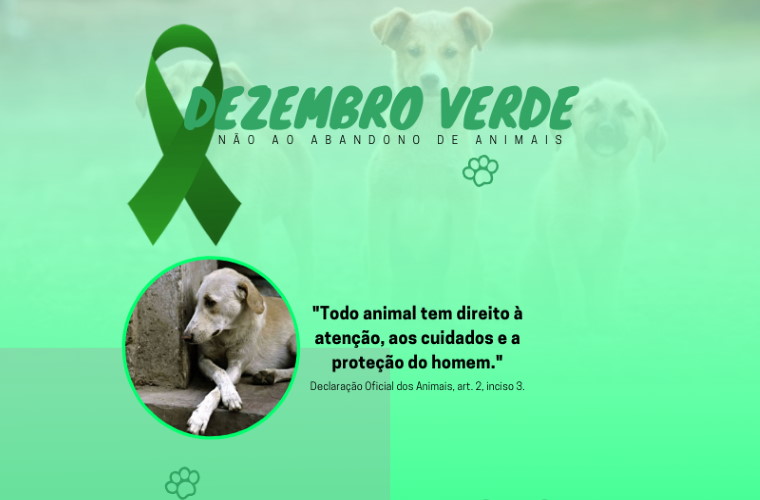 Dezembro verde, mês de conscientização contra o abandono de animais
